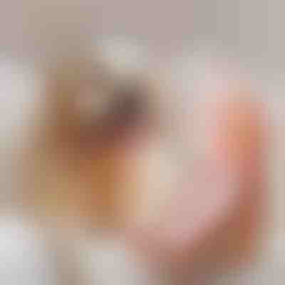 Ein interaktives Haustierspielzeug in Hummerform | LOBSTY